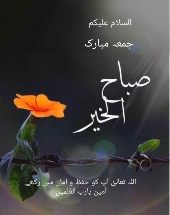 𝖍𝖔𝖕𝖊 tweet media