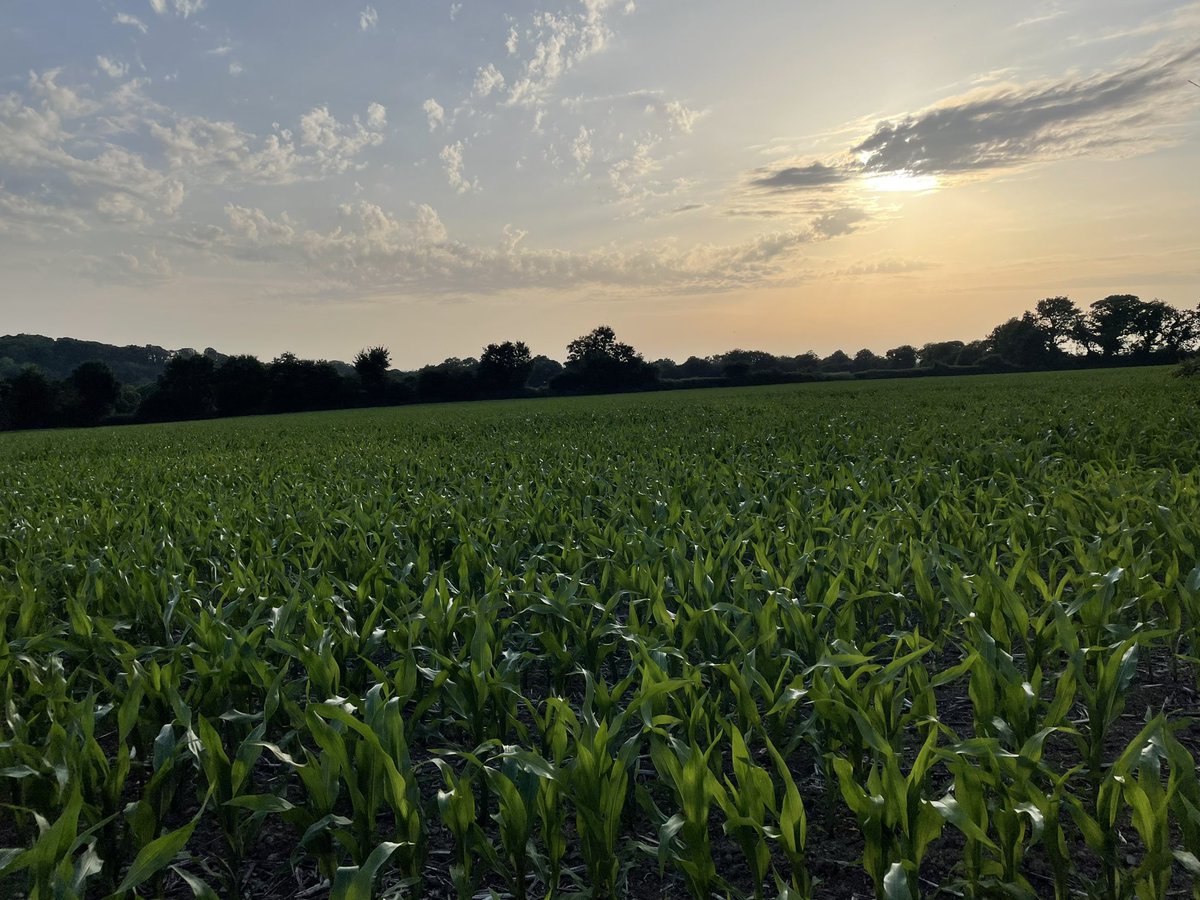 Ça continue 🤩👌