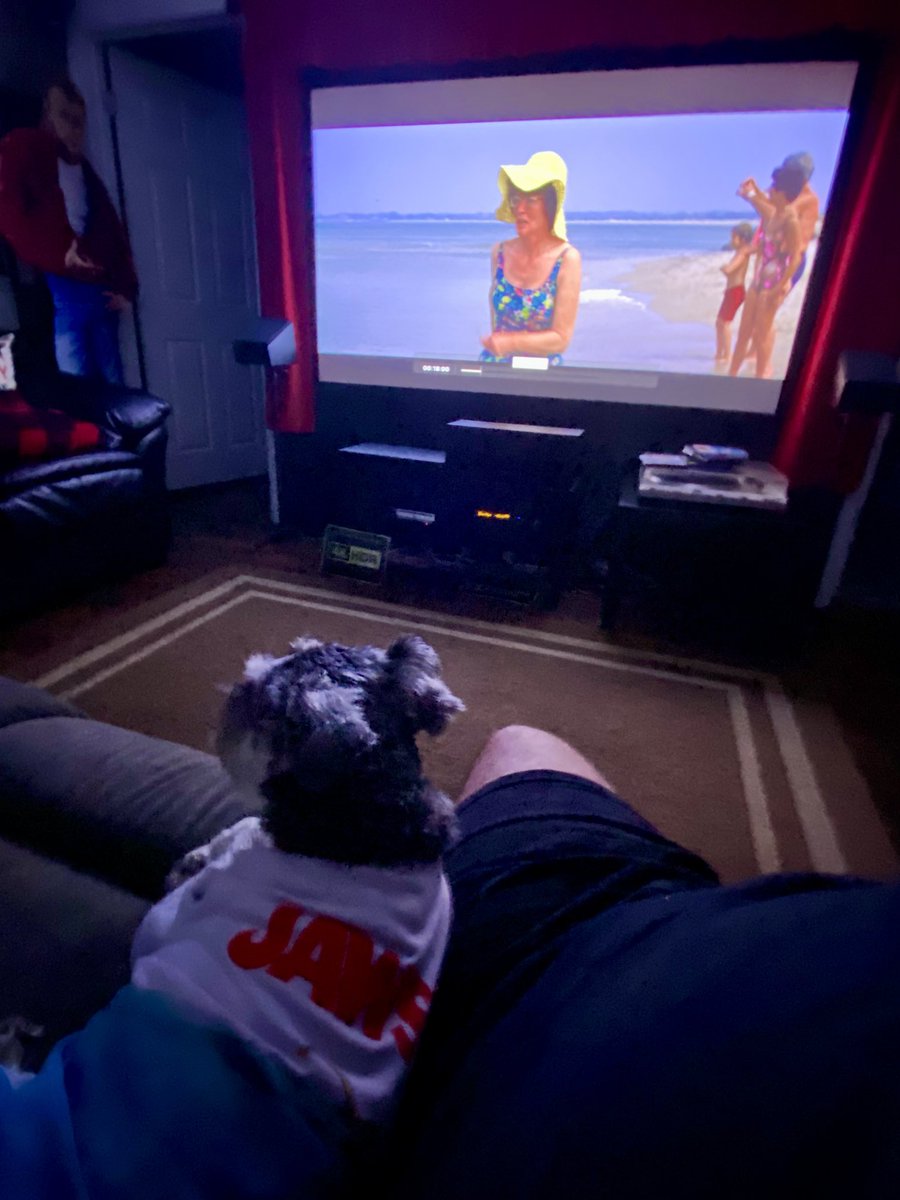 joefortunato's tweet image. Watching Jaws in my home theater today with my dog Hooper, dressed in his jaws T-shirt, me eating popcorn in my Jaws popcorn tin that I just got from the theater (while Hooper eats whatever falls on the floor! Lol) and it’s a perfect way to celebrate my favorite fish! 🦈🎬🎥🍿