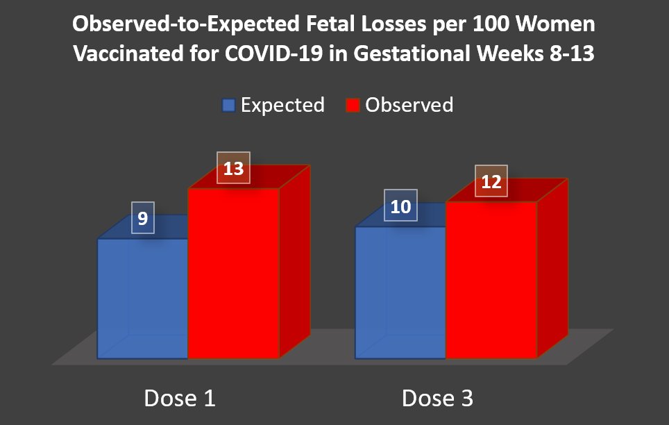 Our new pre-print on COVID-19 vaccine safety in pregnancy is out!

Women vaccinated in early pregnancy (weeks 8-13) had a higher-than-expected number of fetal losses:

Dose 1 = 3.9 more per 100 women
Dose 3 = 1.9 more per 100 women

Based on data on &gt;200K pregnancies in Israel
🧵