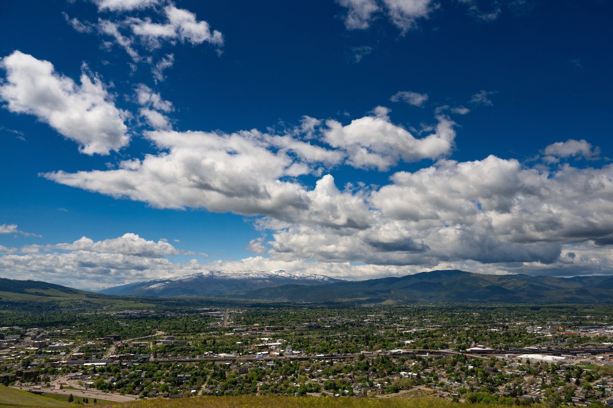 Happy 1st day of summer, Griz Nation! ☀️