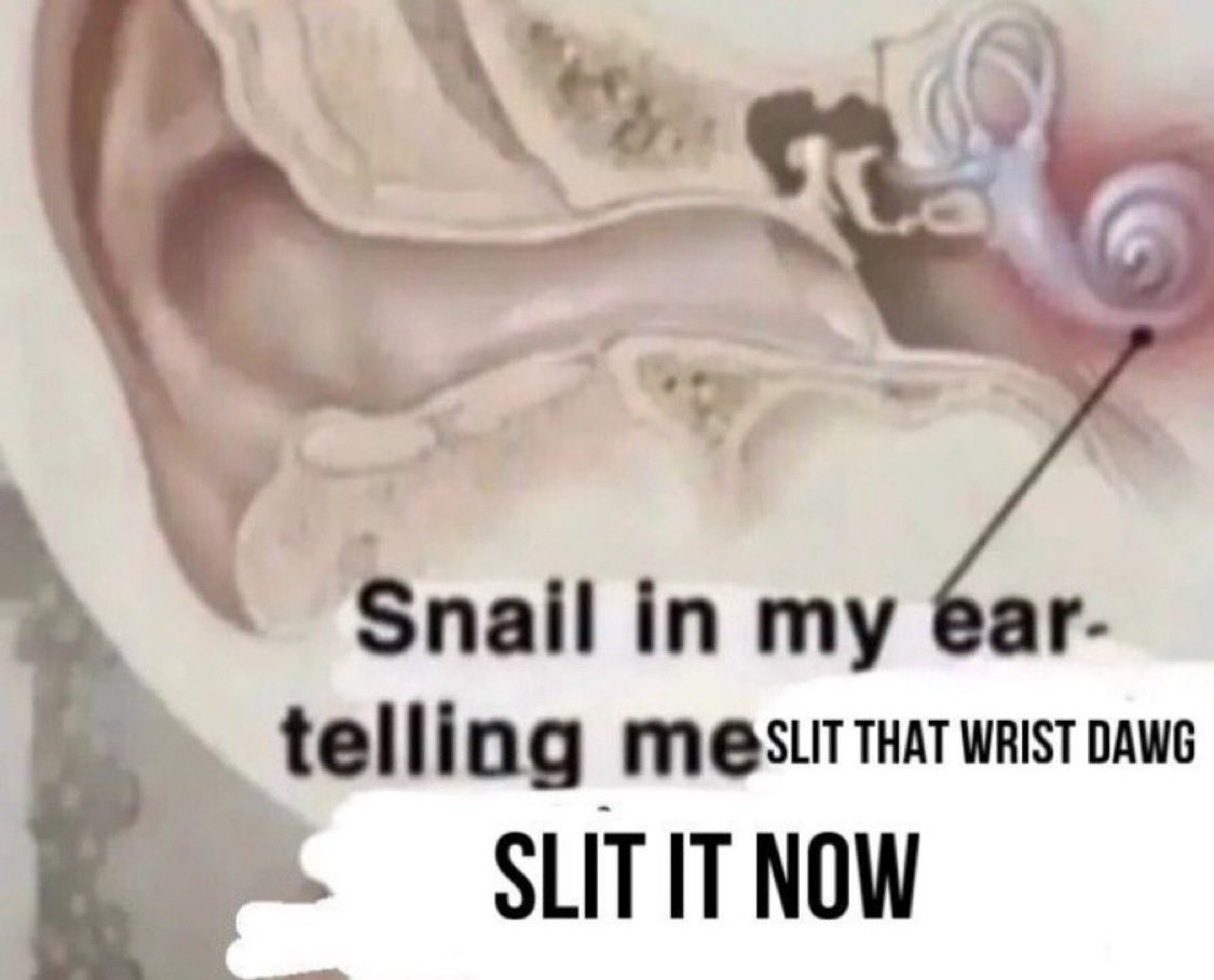 🧵of every sesh from this week cuz i forgot to post them..

TW SH- catscratches &amp; styros