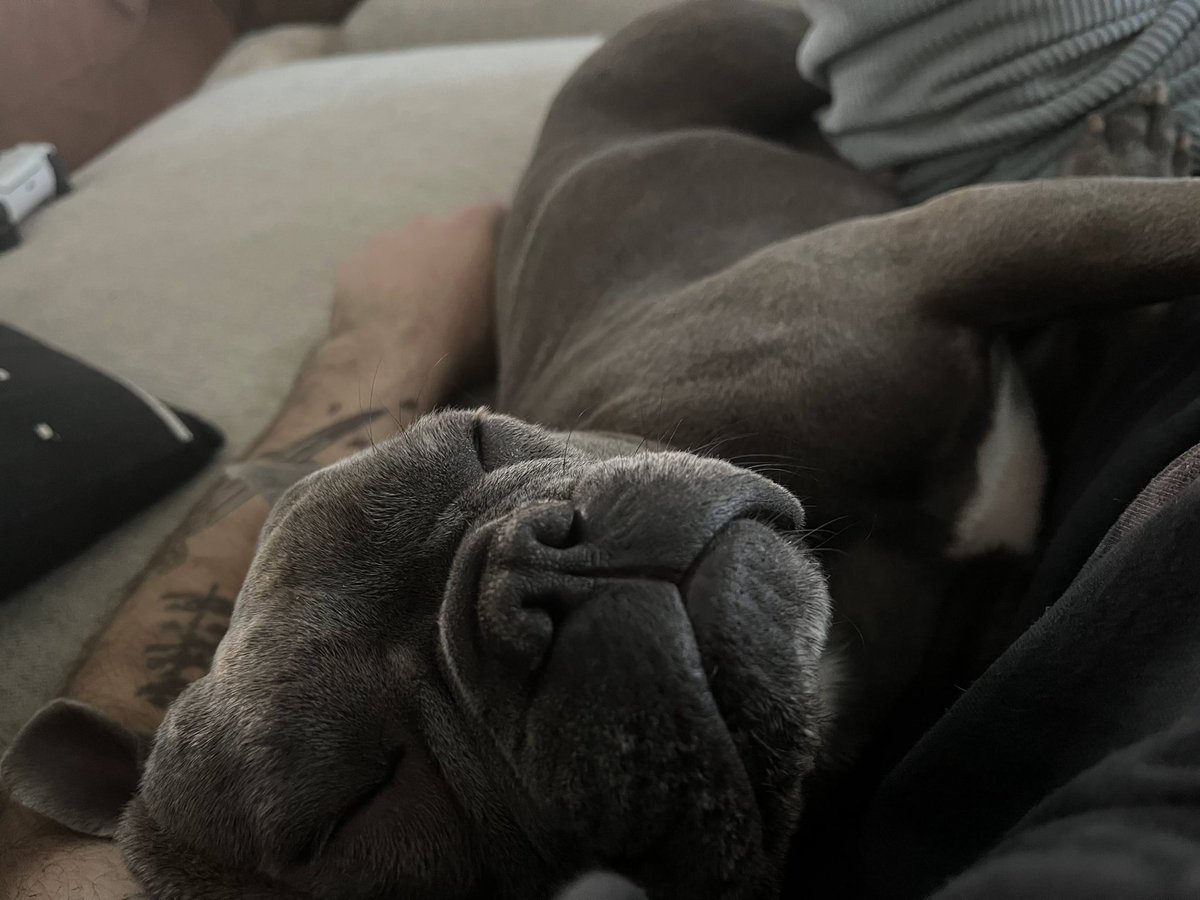 WHALES•TALK tweet media