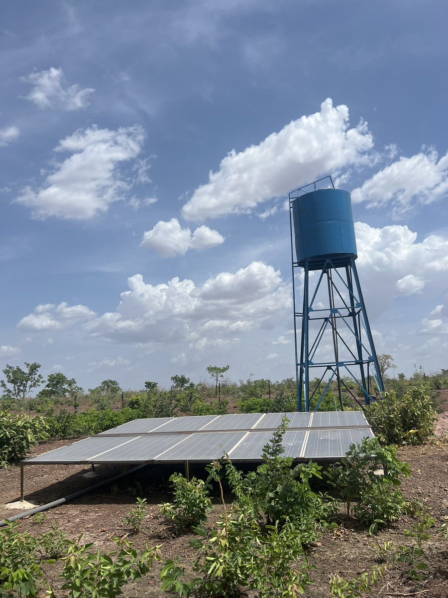 Alharrou. (@alharroud) on Twitter photo 