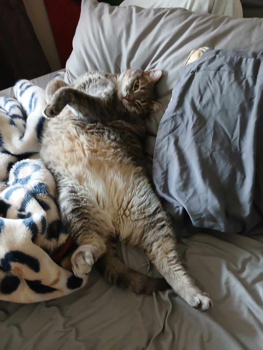 AroundForALaugh's tweet image. Tonight's 3 Michelin ⭐️ Dinner! 😋