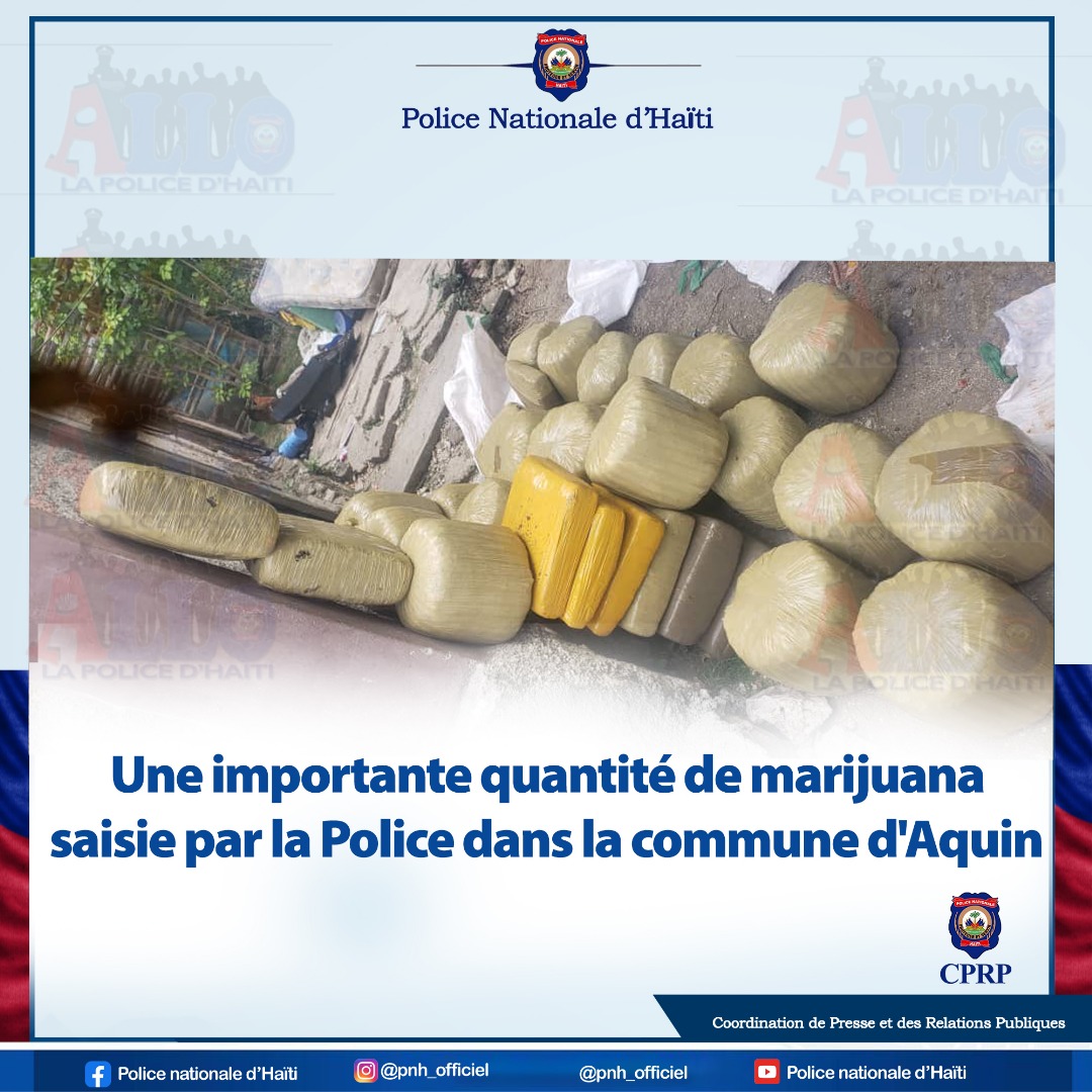 La PNH à travers la Direction Départementale du Sud a procédé à la saisie d'une importante quantité de marijuana, dans la commune d'Aquin, le mercredi 18 juin 2025. 

Selon les informations dont dispose la PNH, cette quantité de stupéfiants appartenait à Marlène, ainsi connue