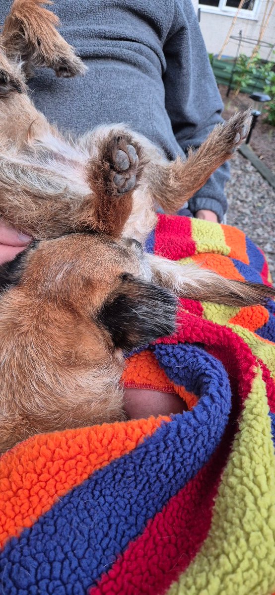 #BTPosse #FridayFeeling #BritishSummerTime #heatwave2025  #WeekendVibes Friday night and living dangerously 😵‍💫