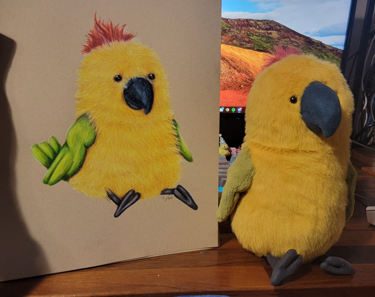 Skydaddi (@skydaddi1) on Twitter photo I have recently acquired this incredible <a href="/jellycatlondon/">Jellycat Jack</a> Budgeby Parrot and needed to draw him. Now he shall resident on my wall as well. ✨️ I have recently acquired this incredible <a href="/jellycatlondon/">Jellycat Jack</a> Budgeby Parrot and needed to draw him. Now he shall resident on my wall as well. ✨️
