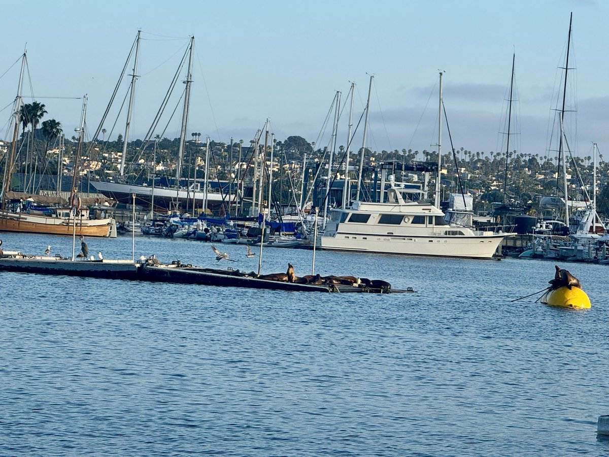 2011acnp's tweet image. Learning a lot of great information to take back home. Reconnecting with former colleagues from back home in Ga and meeting new ones. Meeting new colleagues from around the US. Having a great time in San Diego. @AANP_NEWS  @WellstarHealth #aanp2025 #NPslead