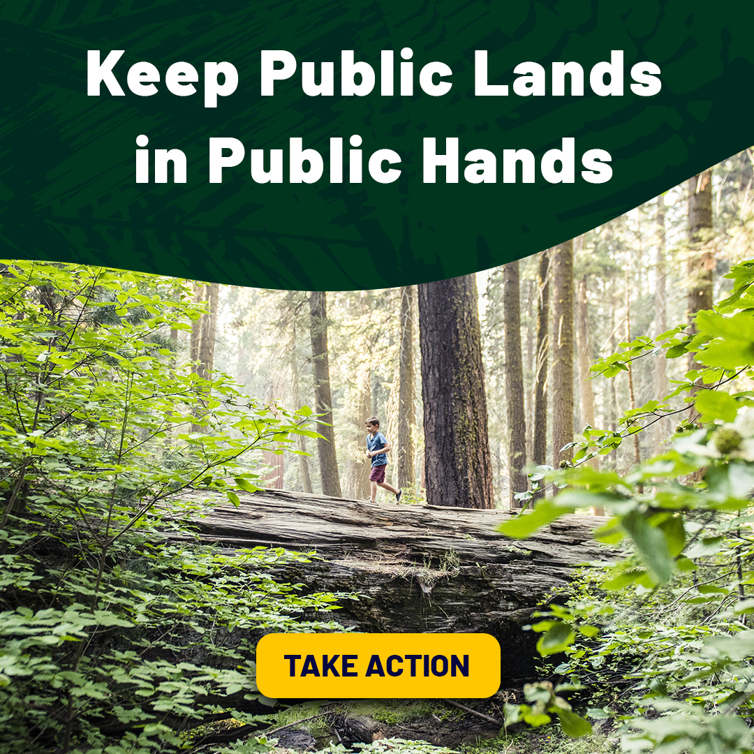 National Forests and other U.S. public lands are essential for our health, outdoor recreation and way of life. But right now, they're under threat. 

📣 Join us and tell your elected leaders in Congress to keep public lands in public hands: nature.ly/4kREeMj