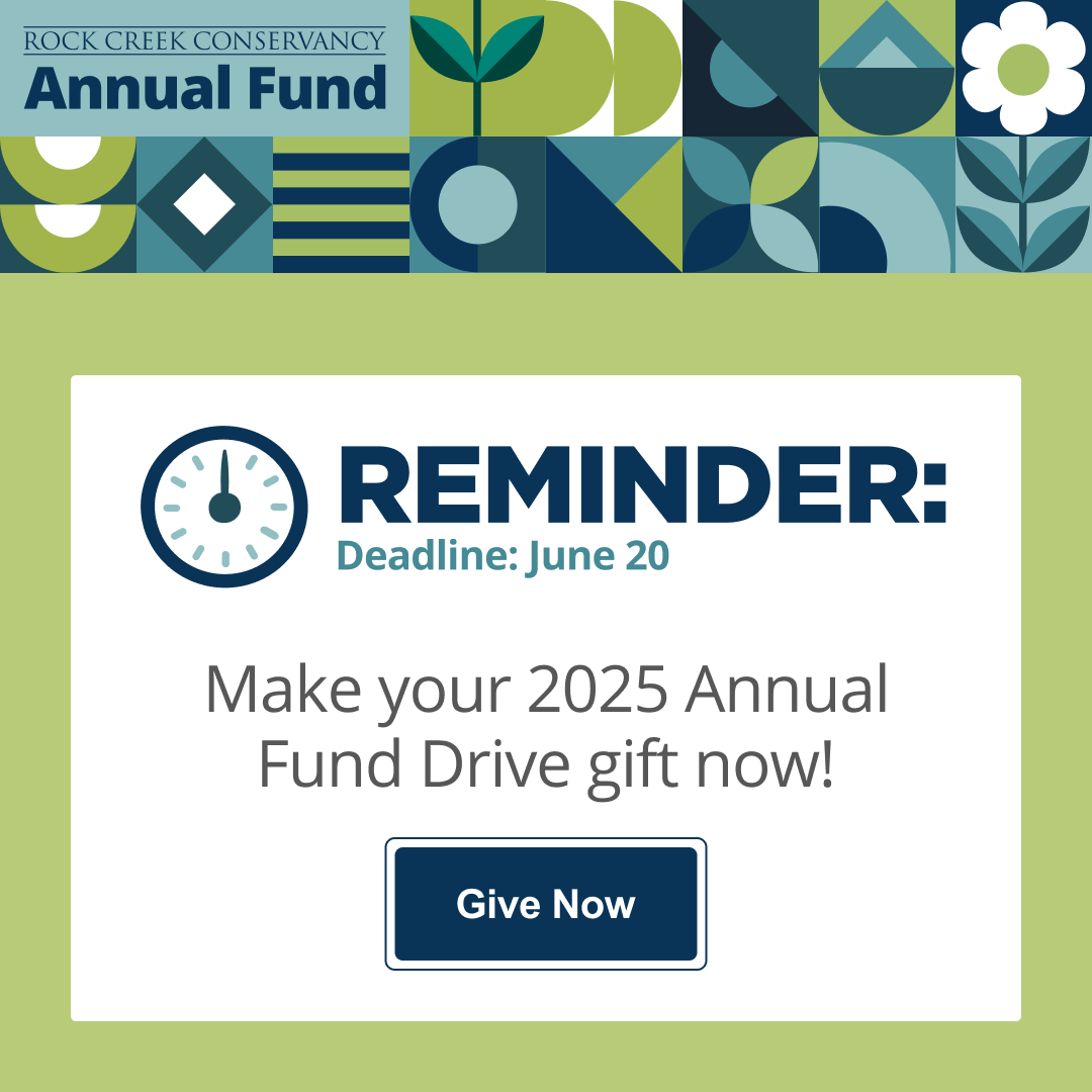 ⏰TODAY IS THE DAY! ⏰

Midnight tonight is the deadline for our Annual Fund Drive, and we’re so close to our goal of $25,000! With all the challenges ahead of us, Rock Creek needs us more than ever.

Donate here: secure.everyaction.com/0TkfxcN3oU636p…