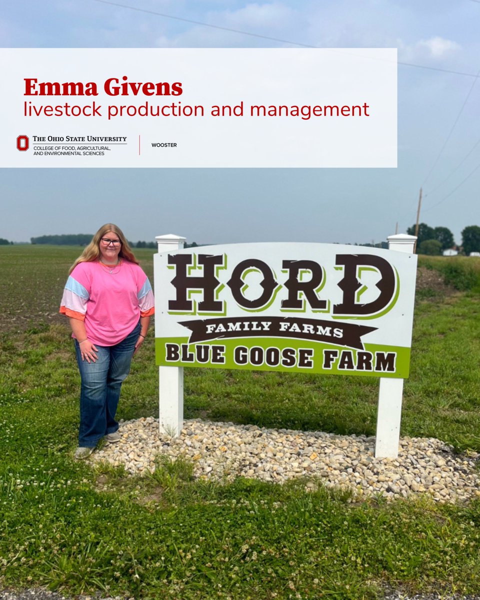 Emma Givens, a livestock production and management with a swine specialization graduate, is spending her summer with Hord Family Farms in Bucyrus, Ohio. 🐷 
Read more about her experience here: bit.ly/3FZOxhY