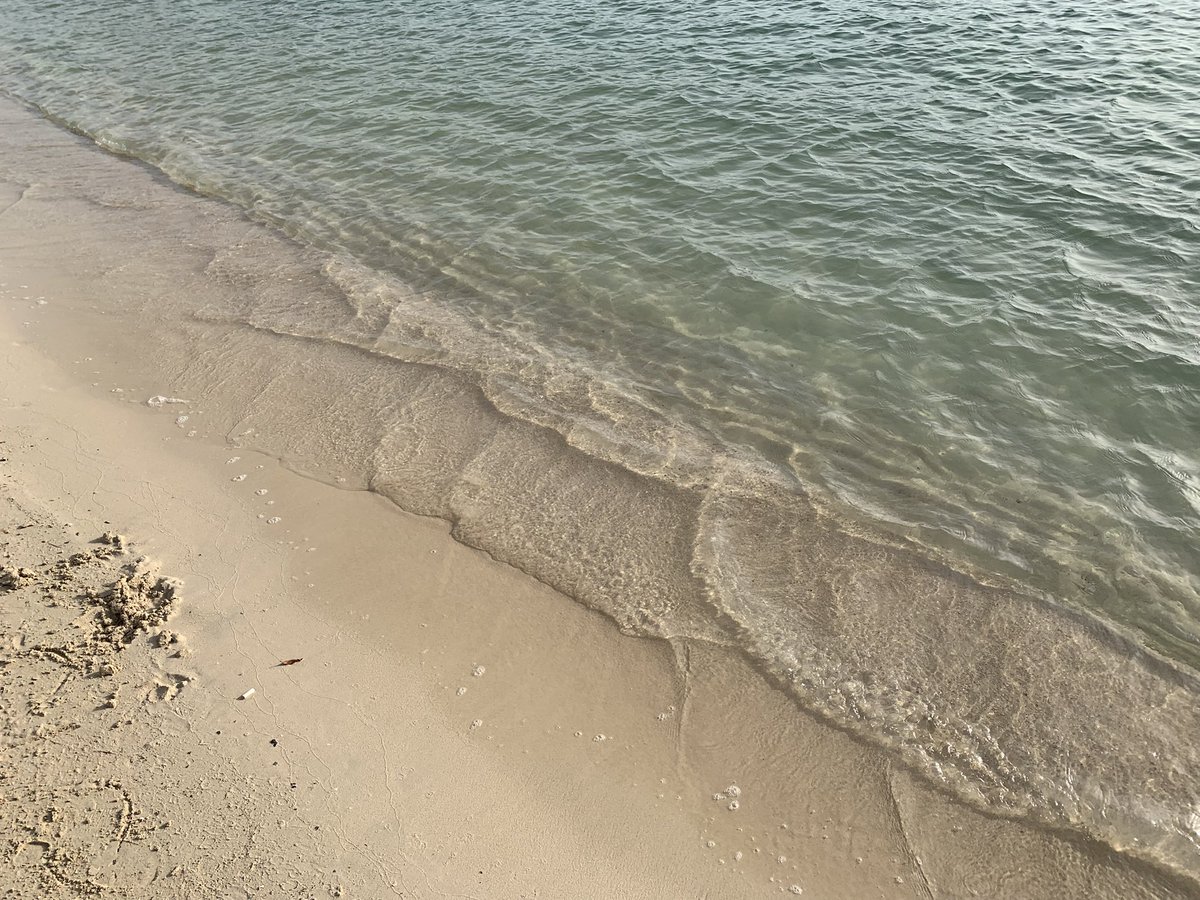 B for Bonita tweet media