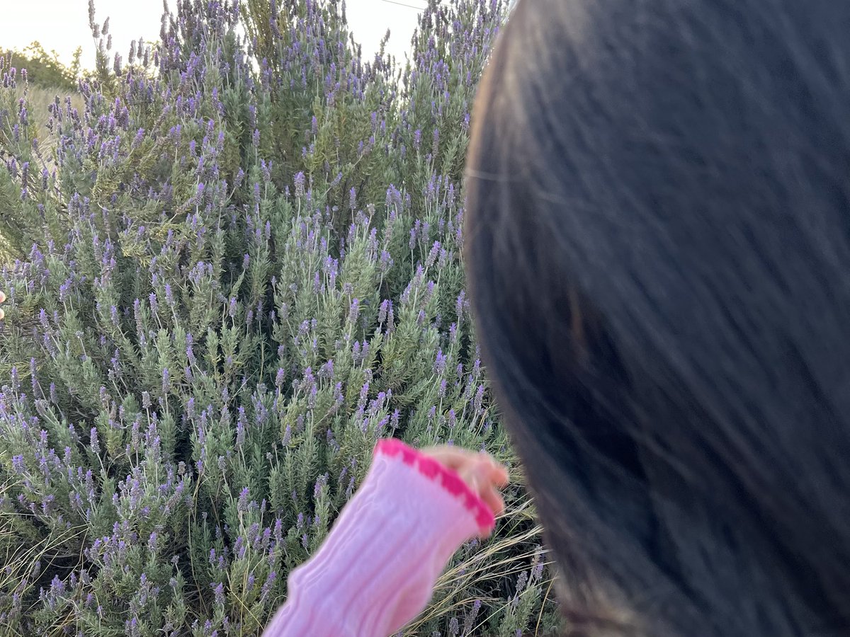 B for Bonita tweet media