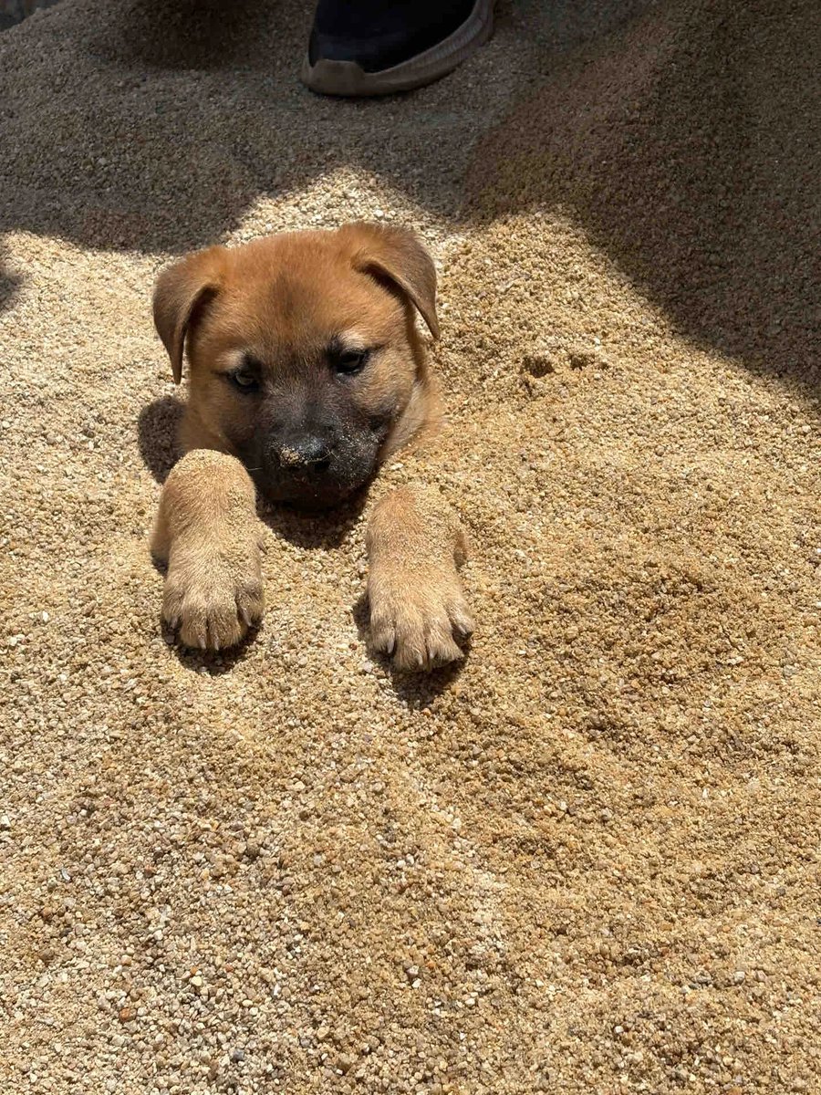 xiaoxiaohuahua2's tweet image. Cloudy days will always clear up, you see, the clouds are dispersing.  #CloudyDays #ClearSkies #WeatherChanges #Nature #Optimism #PositiveVibes #Hope #SkyGazing #CloudWatching #大美中国 #heal #Live #grow #happy #Records #Daily #time