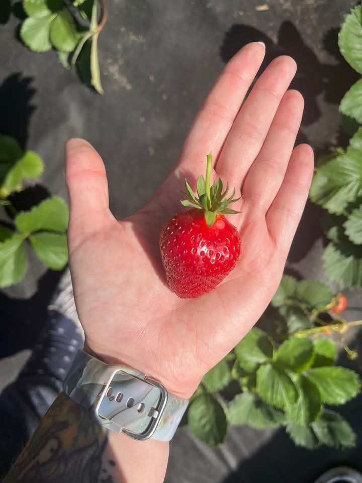 Иргэд болон ААН байгууллагууд гадна тохижилтондоо анхаардаггүй. Энэхүү нийгмийн сайн сайхан зориулсан ажлыг дан ганц төр хариуцаж хийх боломжгүй.