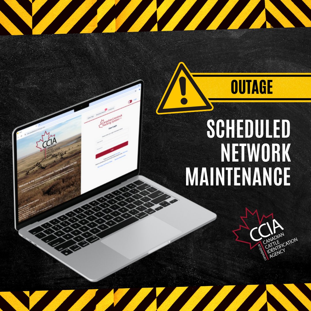 Service Interruption
CCIA’s webstore and Canadian Livestock Tracking System (CLTS) will be unavailable tonight, June 20, from 9 p.m. to 11 p.m. (MDT) due to scheduled network maintenance.