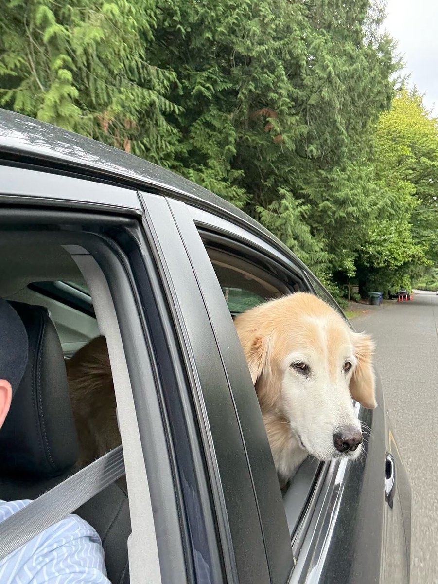 Reily is reporting for duty this Take Your Dog to Work Day! 🐾
