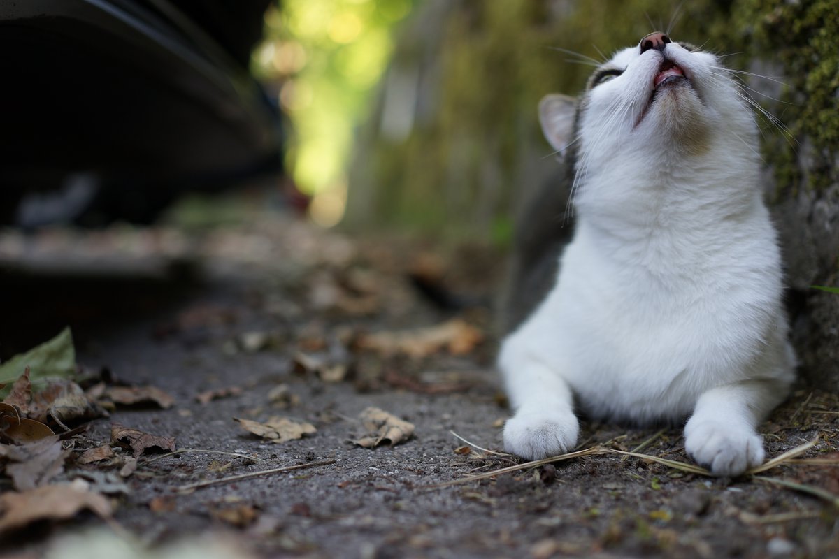 asphalt, concrete wall