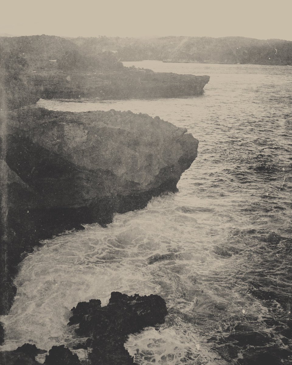 Isle.

these 4 pieces will be minted on <a href="/mallowdotart/">mallow</a> soon, available for private offers—— hit my dm 📸