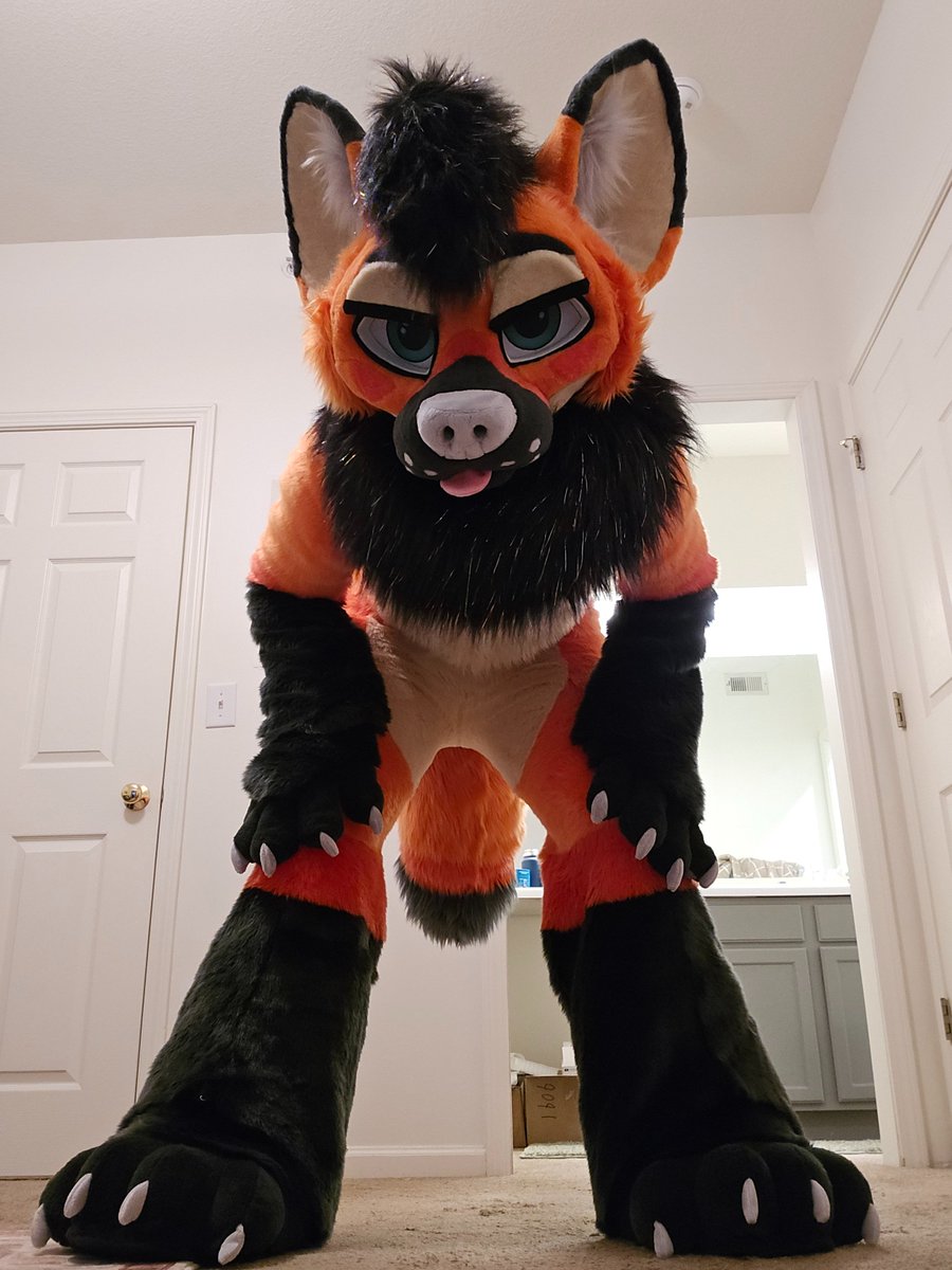 June @ home tweet media