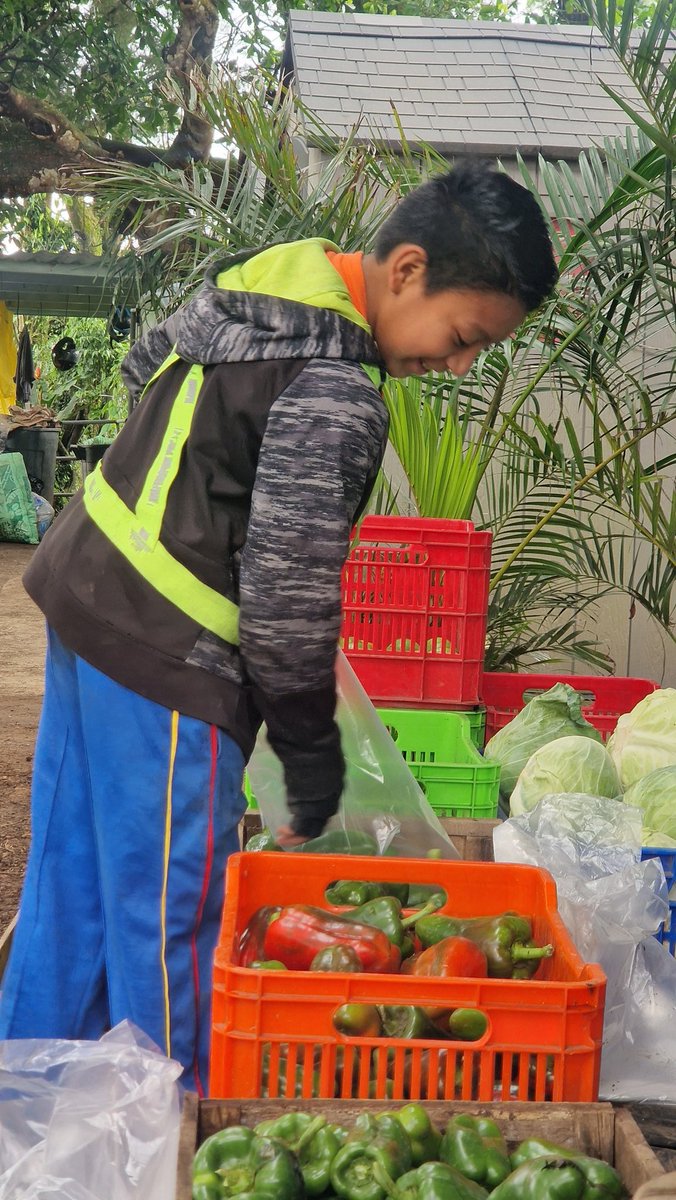 🇸🇻🐾 R o c i 🐾 🇪🇦 (@bymoonhunter) on Twitter photo One of the orphans who lives with Lupe sells the veg of the farm after school everyday on his bike. He gets a commission on each sale and saves it since <a href="/MURPHSLIFE/">MURPHSLIFE</a> funds their education. 🙌🏽
It's impressive the strength and maturity of this 12yo boy.
Salvadoran resilience ✨️ One of the orphans who lives with Lupe sells the veg of the farm after school everyday on his bike. He gets a commission on each sale and saves it since <a href="/MURPHSLIFE/">MURPHSLIFE</a> funds their education. 🙌🏽
It's impressive the strength and maturity of this 12yo boy.
Salvadoran resilience ✨️