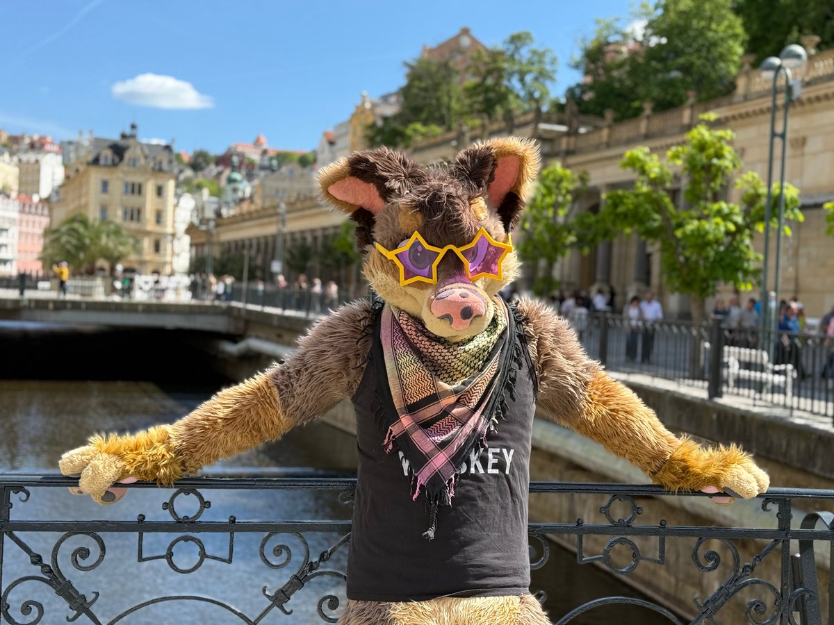 Sup guys? It's #FursuitFriday days in Karlovy Vary!