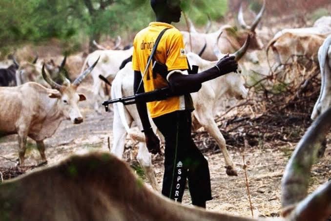 BREAKING: Armed Herdsmen Attack Another Benue Community 48 Hours After Tinubu's Visit | Sahara Reporters    bit.ly/4n92B9w