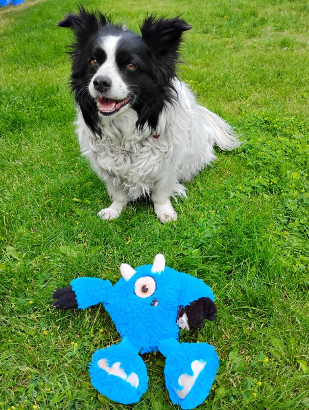 Happy FriYay!🎉 It's a cool day supposed to get rain and skybooms and the Stinky truck is late 🫤🙄