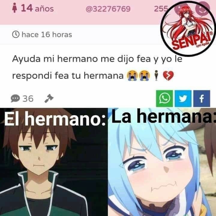 XD