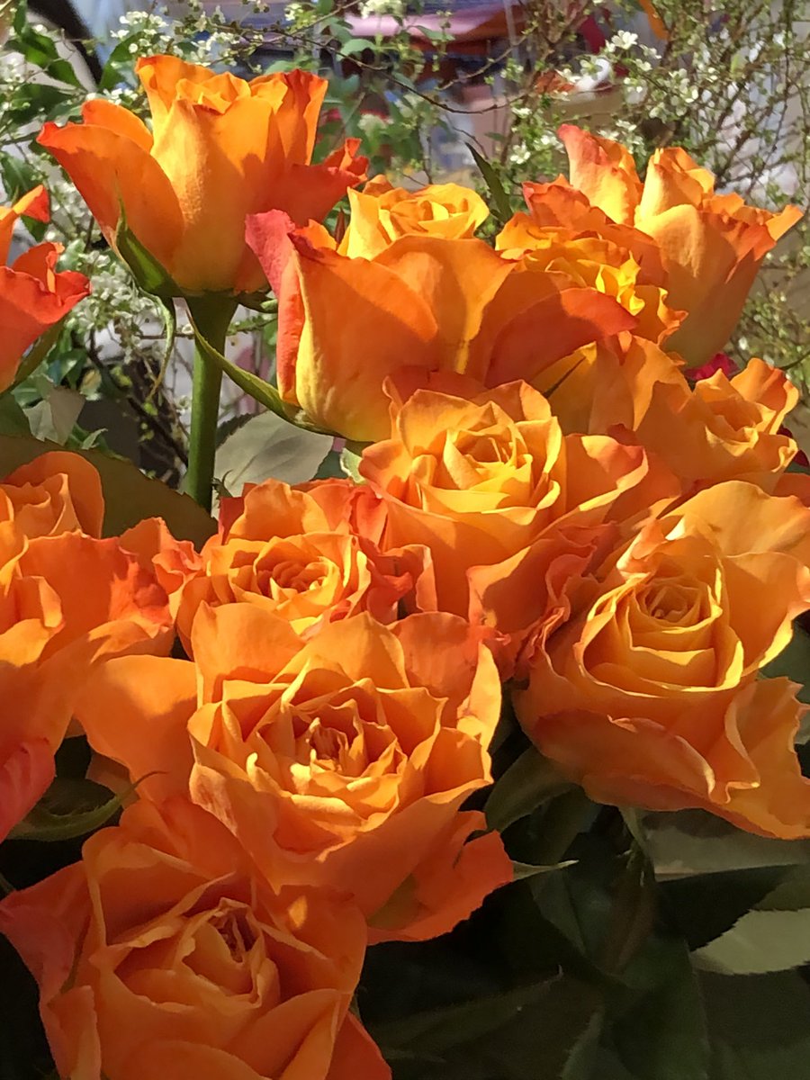 🌹Good morning dear friends ☕️😉🌹

🌹🌹🌹🌹Happy Saturday 🌹🌹🌹🌹