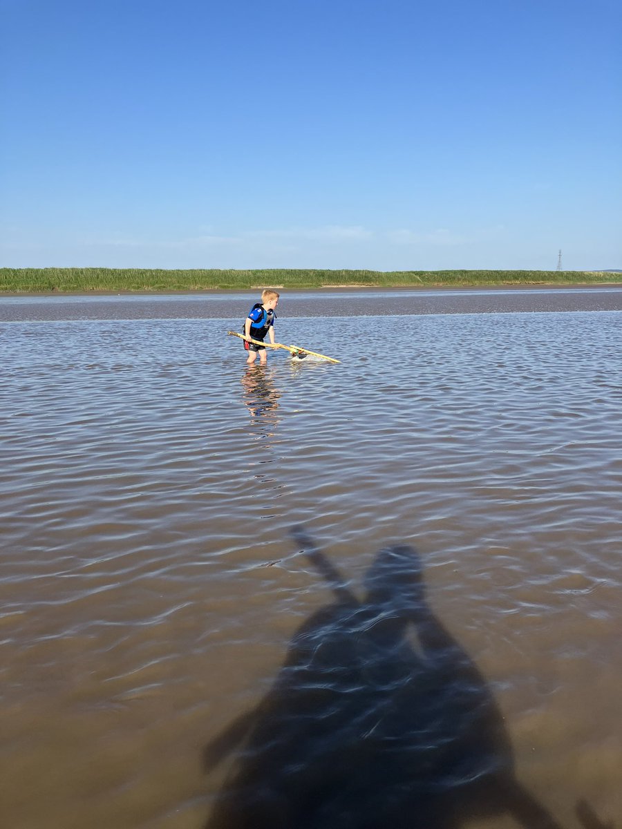 MattyH02's tweet image. Glorious evening out in the Severn Estuary with the lave netting succession plan. Lots of juvenile mullet caught and released. He’s keen to go out before breakfast tomorrow to catch “a big one.” Suppose I’d better tag along!