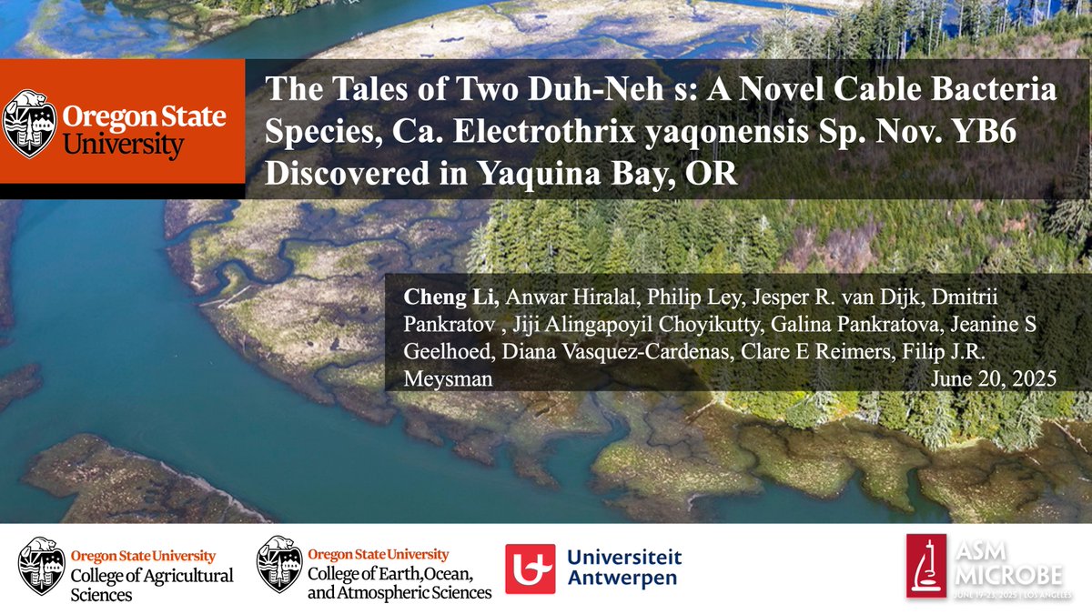 OSUElectroB's tweet image. Missed my talk this morning at #ASM2025? Catch the recording here: youtu.be/CilCzOFQYuw?si… via @YouTube. The Tales of Two Duh-Neh s: A Novel Cable Bacteria Species, Ca. Electrothrix yaqonensis Sp. Nov. YB6 Discovered in Yaquina Bay, OR. #cablebacteria #asmicrobe2025 #asm2025…