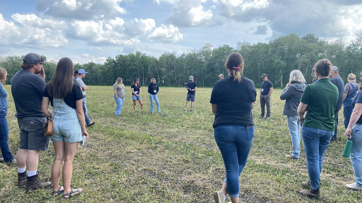 SaskSoil (@sasksoil) on Twitter photo 🌱 Launching summer field day in Melfort with Collective Impact and <a href="/SAWatersheds/">Saskatchewan Association of Watersheds</a>
Our first stop: a cover crop field with wheat, oats, barley, peas, clover, and radish to boost soil health. Let’s maximize growth on minimal land!
#FieldDay #SustainableFarming 🌱 Launching summer field day in Melfort with Collective Impact and <a href="/SAWatersheds/">Saskatchewan Association of Watersheds</a>
Our first stop: a cover crop field with wheat, oats, barley, peas, clover, and radish to boost soil health. Let’s maximize growth on minimal land!
#FieldDay #SustainableFarming