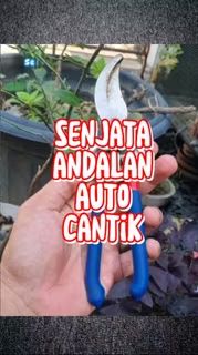 Senjata andalan auto cantik id.shp.ee/iatjw1v?smtt=0…