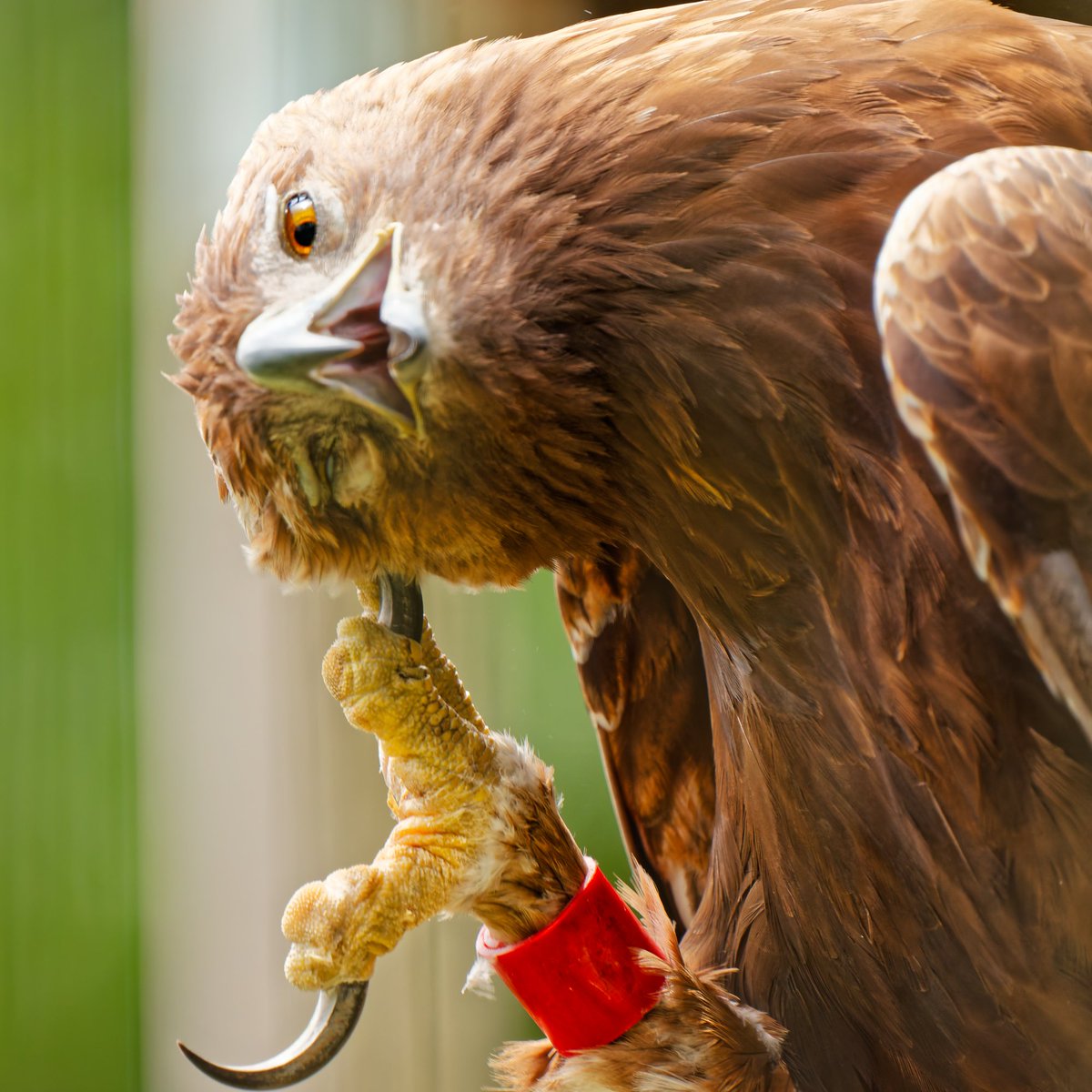 実は俺…お前のこと好きなんだよな