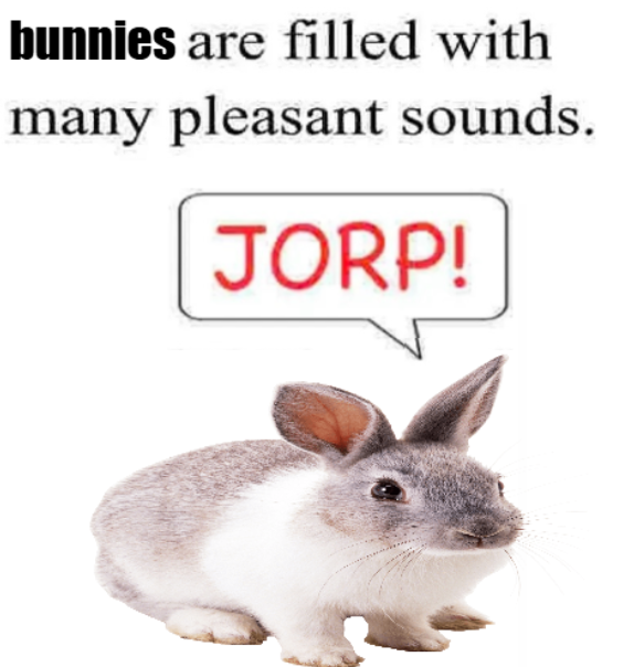 bunny expert here: they make this noise when no one is looking