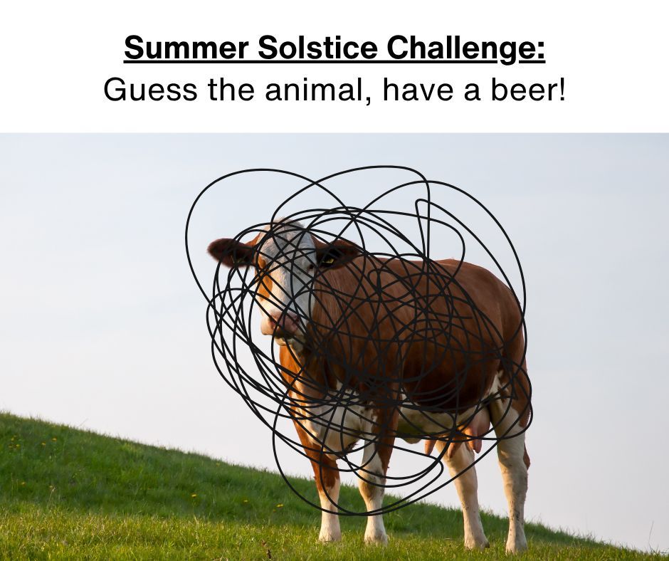 Happy Summer Solstice! ☀️ It’s the longest day of the year and the official start of summer, so here’s a little challenge for you… 

If you can guess the animal, you deserve a beer! 🍺

We tried to make it tricky… so don’t overthink it.