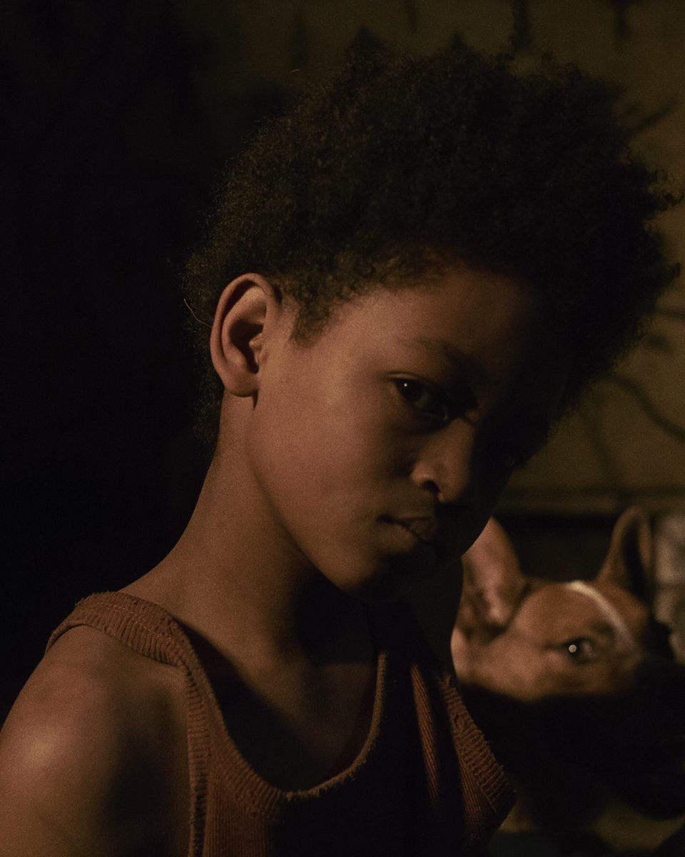 Never Let Go tweet media