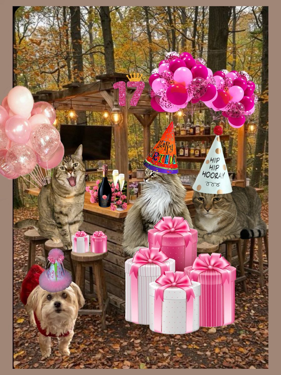 Mel Asks (@mel_asks) on Twitter photo Happy Birthday, Sadie!
We need to drop off these gifts, then splish splash!!! 💦 
 #Sadies17thBirthday Happy Birthday, Sadie!
We need to drop off these gifts, then splish splash!!! 💦 
 #Sadies17thBirthday