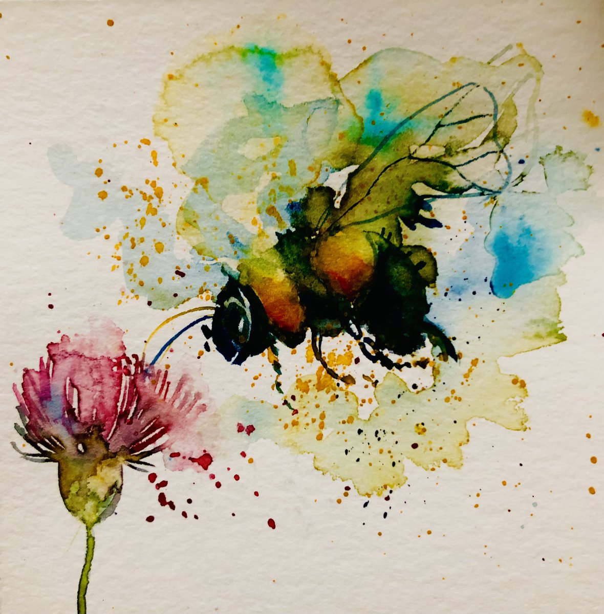 Lots of bumble bees today 🐝!