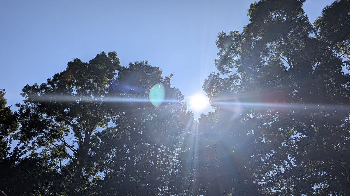 CycleParadise's tweet photo. Luminous Canopy
#day171 #TeamPixel @madebygoogle #Pixel8Pro #photooftheday #nofilter #shotonpixel #LuminousCanopy #SunlitTrees #LensFlare #TreeTops #NaturePhotography #BrightSky #GoldenGlow https://t.co/KeWJ3UsrQO