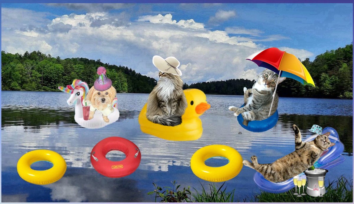 Mel Asks (@mel_asks) on Twitter photo Whoa, there’s so much activity out here in the lake! At least it’s big enough water to take a relaxing float with you, Sadie!
Just keep a lookout for <a href="/OdieOrville/">THE Odie Bob Orville 😺</a> and his speedboat!🙀🙀🙀🌊
#Sadies17thBirthday Whoa, there’s so much activity out here in the lake! At least it’s big enough water to take a relaxing float with you, Sadie!
Just keep a lookout for <a href="/OdieOrville/">THE Odie Bob Orville 😺</a> and his speedboat!🙀🙀🙀🌊
#Sadies17thBirthday