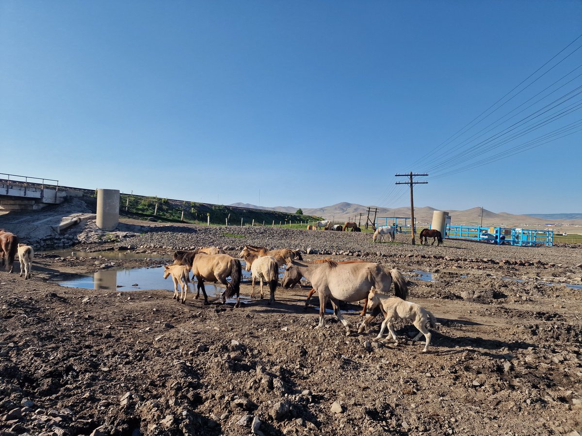 Өглөөний 🌺мэнд👏 хүргэе. Сайхан😍 бодлоос сайхан🥰 амьдрал эхэлнэ. Та нартаа эрч хүч💪💃🏻 инээмсэглэл хайр💖 энэрэл шингэсэн халуун дулаан сэтгэлийн энерги🔥 бэлэглэе. Шинэ бүтээл сайн үйлс дэлгэрсэн шижгэр амжилт👍 хүсье. Амьдрал баян. 💞💞💞💞💞💞💞💞💞💞💞💞💞💞💞💞