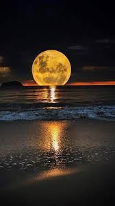 <a href="/MirkoVasi2/">Mirko Vasić</a> Good night Mirko  enjoy your weekend sleep well🌛💫💙