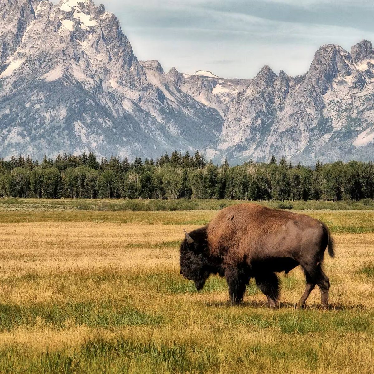 🇺🇸 NEW: Kraken is relocating its U.S. HQ to Wyoming, embracing the state’s crypto-friendly regulations and low-tax environment.