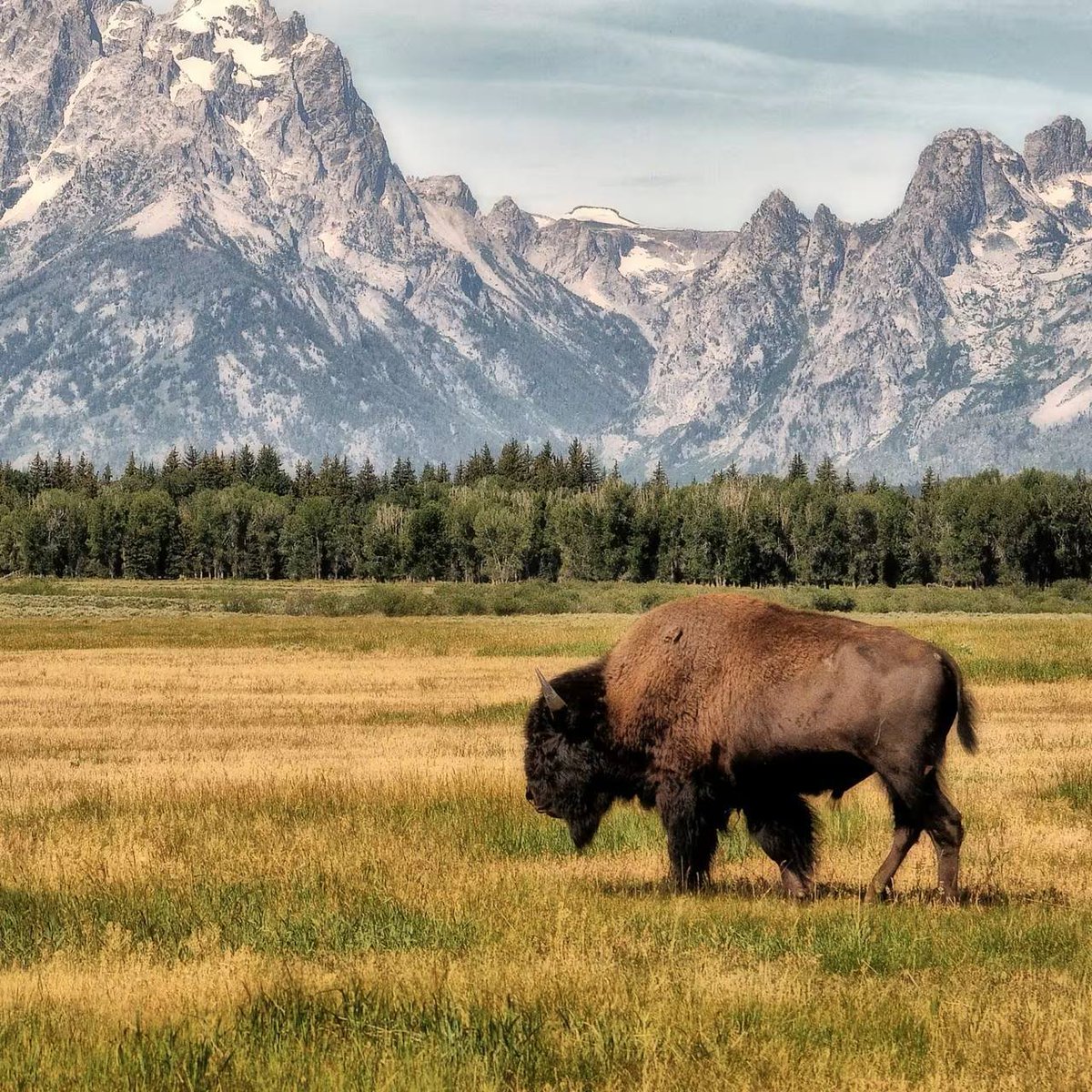 get_yourpulse's tweet photo. 🇺🇸 NEW: Kraken is relocating its U.S. HQ to Wyoming, embracing the state’s crypto-friendly regulations and low-tax environment. https://t.co/UbtbvBdX1P