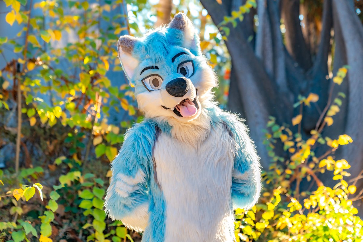 Zephyr (@zephyrousfox) on Twitter photo catching the extra hours of sunlight during the summer solstice ☀️
📸: <a href="/ChatahSpots/">Migo💢|Chatah🏖☀️</a>
🧵🪡✂️: <a href="/wolf_daz/">Daza 🔮 GOH BKB</a>
#FursuitFriday catching the extra hours of sunlight during the summer solstice ☀️
📸: <a href="/ChatahSpots/">Migo💢|Chatah🏖☀️</a>
🧵🪡✂️: <a href="/wolf_daz/">Daza 🔮 GOH BKB</a>
#FursuitFriday