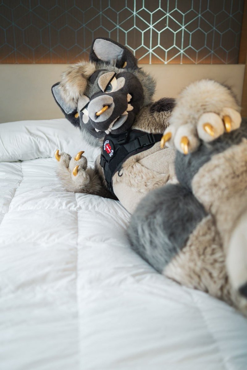 TABBY π FWA (@cuppatabby) on Twitter photo Be a good critter and come help me celebrate #FursuitFriday, why donβt ya?
πΈ:@/gulo on bsky
πβπ¦Ί:<a href="/SpicyServiceDog/">Spicy Service Dog πβπ¦Ί</a> (harness) Be a good critter and come help me celebrate #FursuitFriday, why donβt ya?
πΈ:@/gulo on bsky
πβπ¦Ί:<a href="/SpicyServiceDog/">Spicy Service Dog πβπ¦Ί</a> (harness)