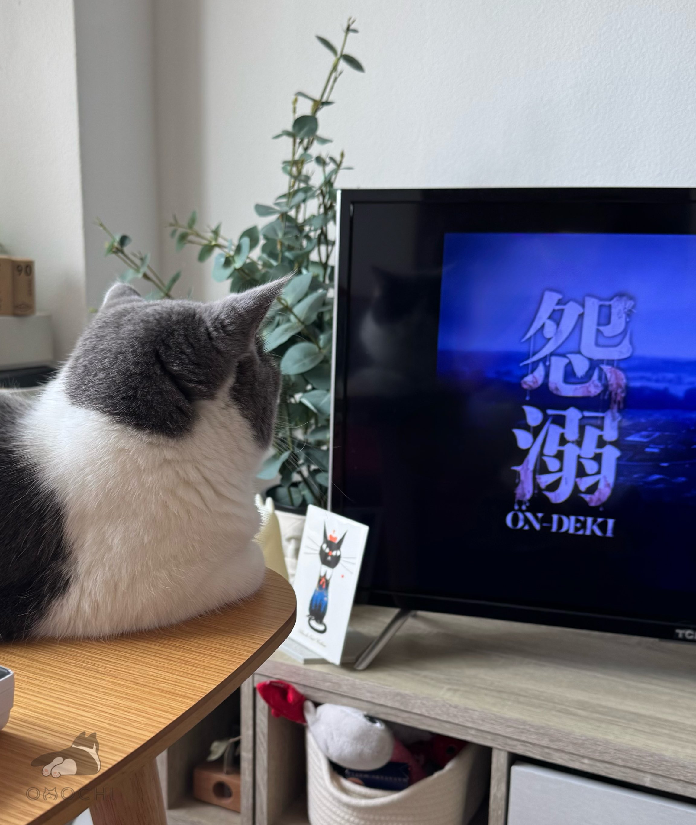 ねこに転生したおじさん ボールチェーン付きコレクション